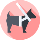 animals,miscellaneous,help,blind,accessibility,disabled,diversity,handicapped,guide dog
